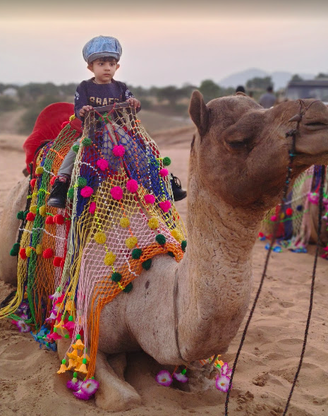 Experience the Magic of Camel Safari in Pushkar