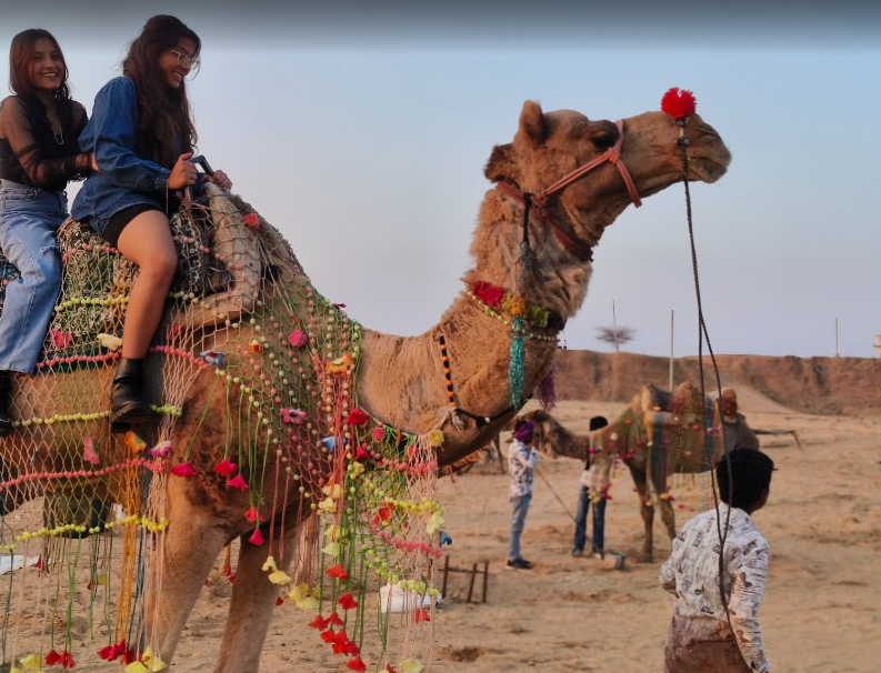 Experience the Magic of Camel Safari in Pushkar