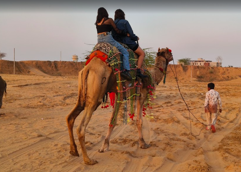Experience the Magic of Camel Safari in Pushkar
