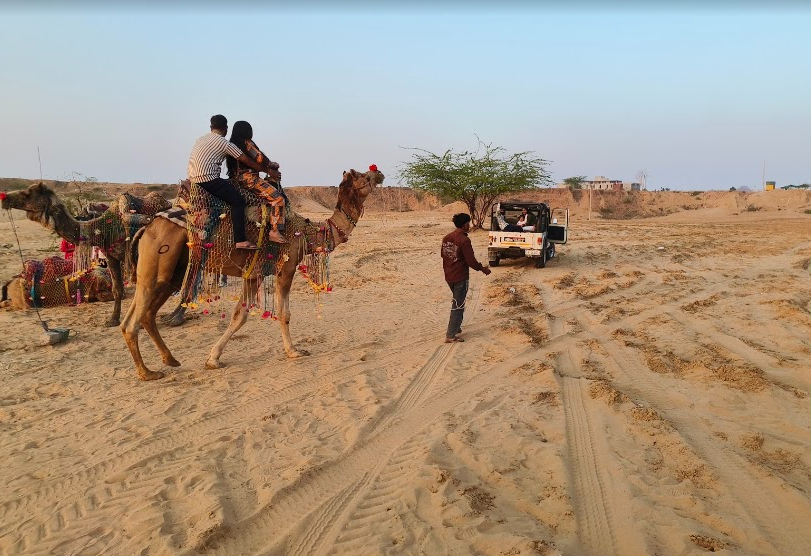 Experience the Magic of Camel Safari in Pushkar