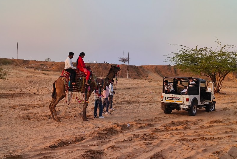 Experience the Magic of Camel Safari in Pushkar