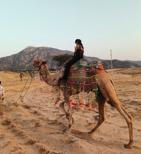 Experience the Magic of Camel Safari in Pushkar