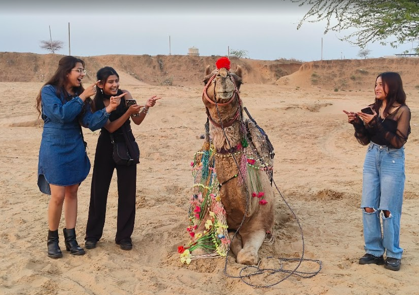 Experience the Magic of Camel Safari in Pushkar