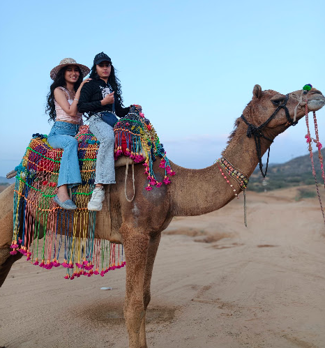 Experience the Magic of Camel Safari in Pushkar