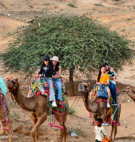Experience the Magic of Camel Safari in Pushkar
