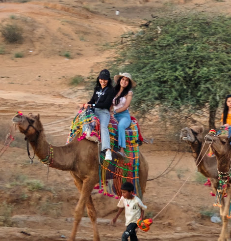 Experience the Magic of Camel Safari in Pushkar