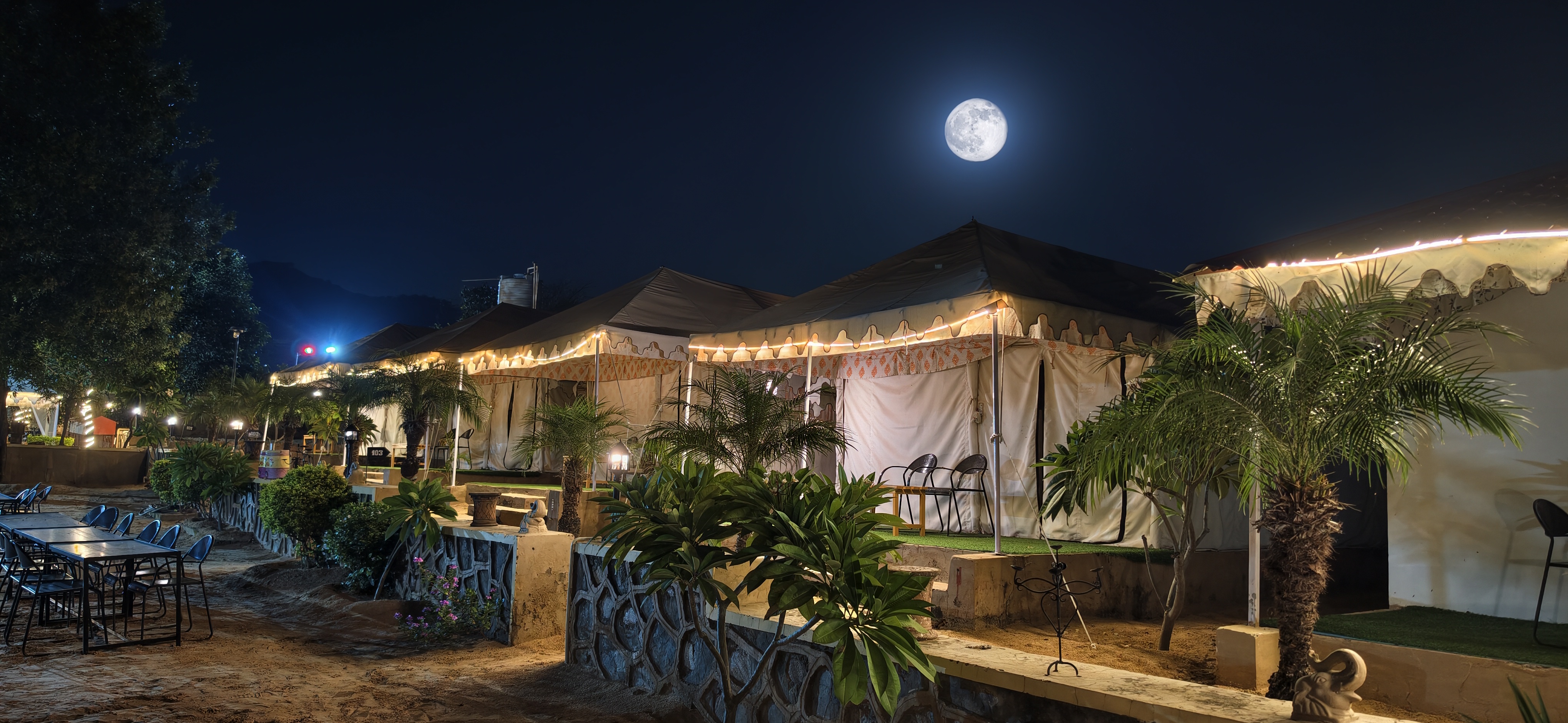 Night Ambience