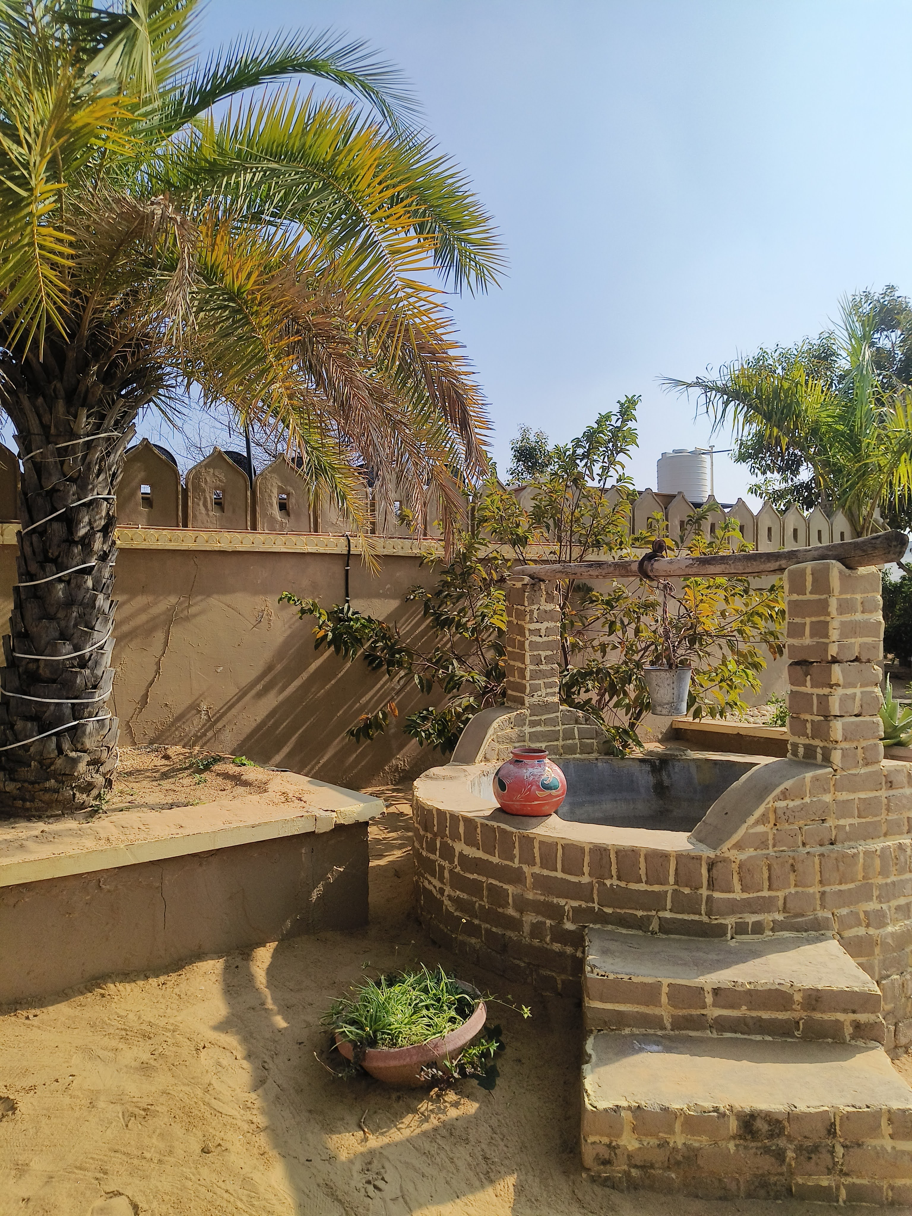 Experience the beauty, warmth & peaceful charm of Oasis Desert Camp by day.
