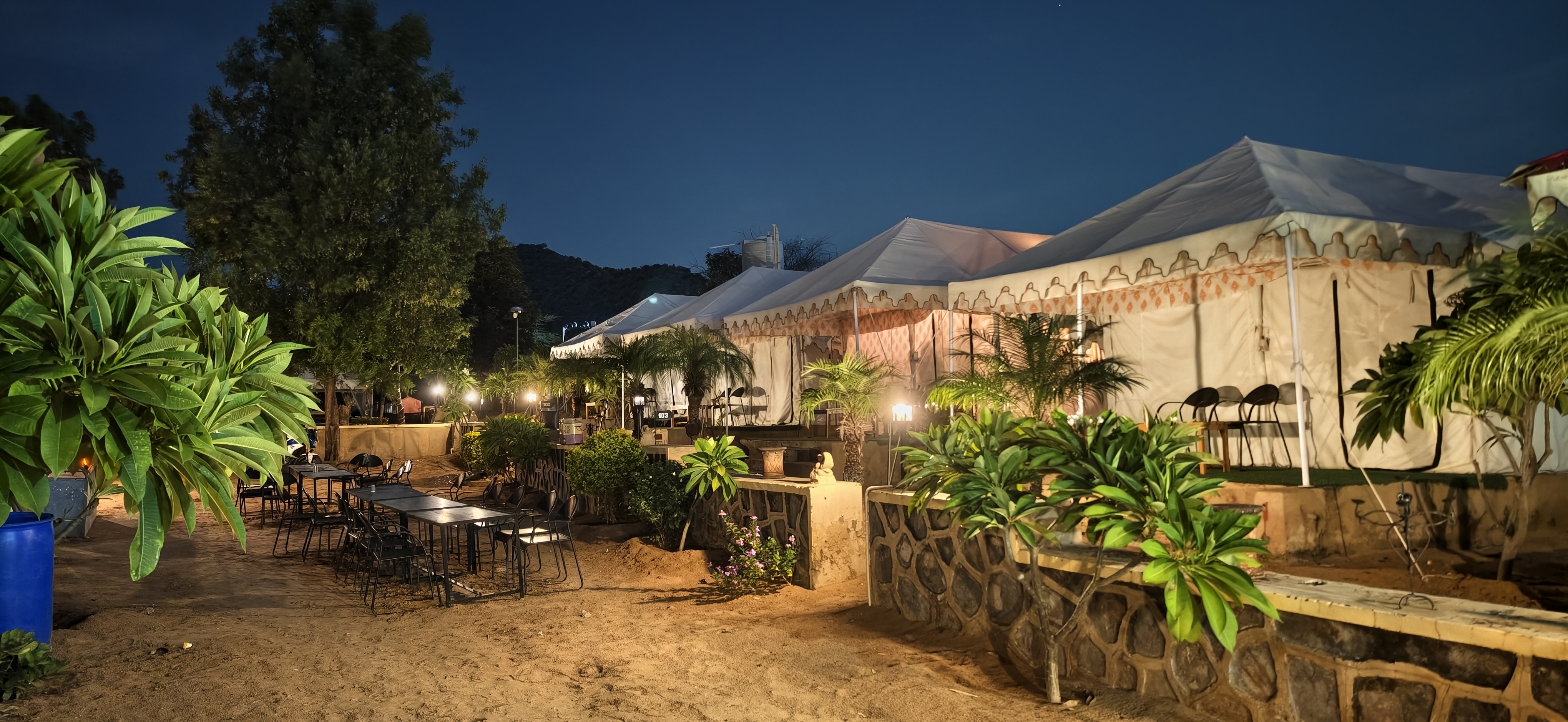 Where desert nights come alive with lights, music, bonfire & Rajasthani charm. ✨