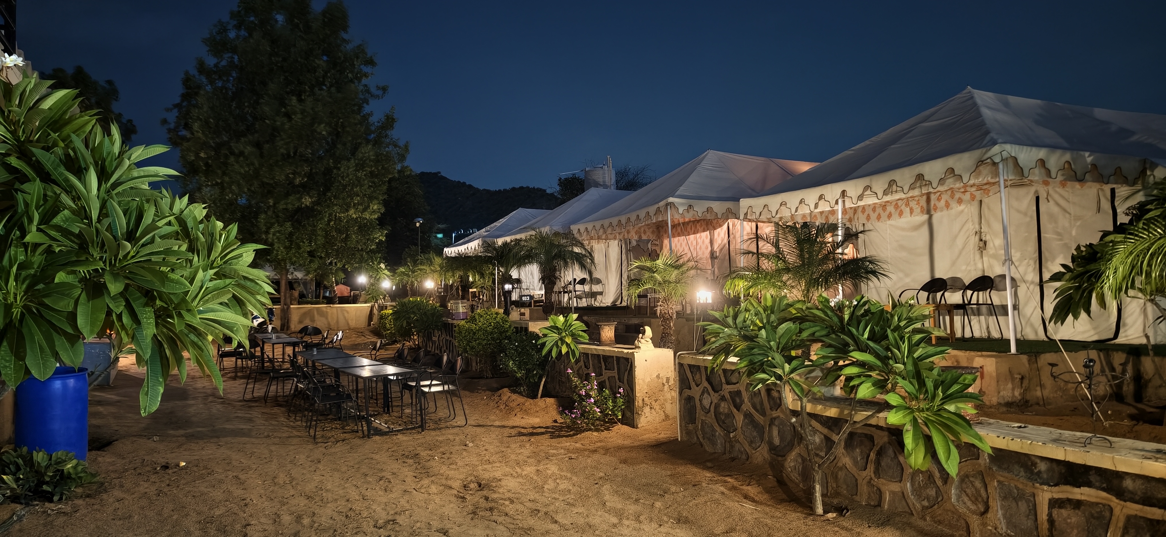 Where desert nights come alive with lights, music, bonfire & Rajasthani charm. ✨