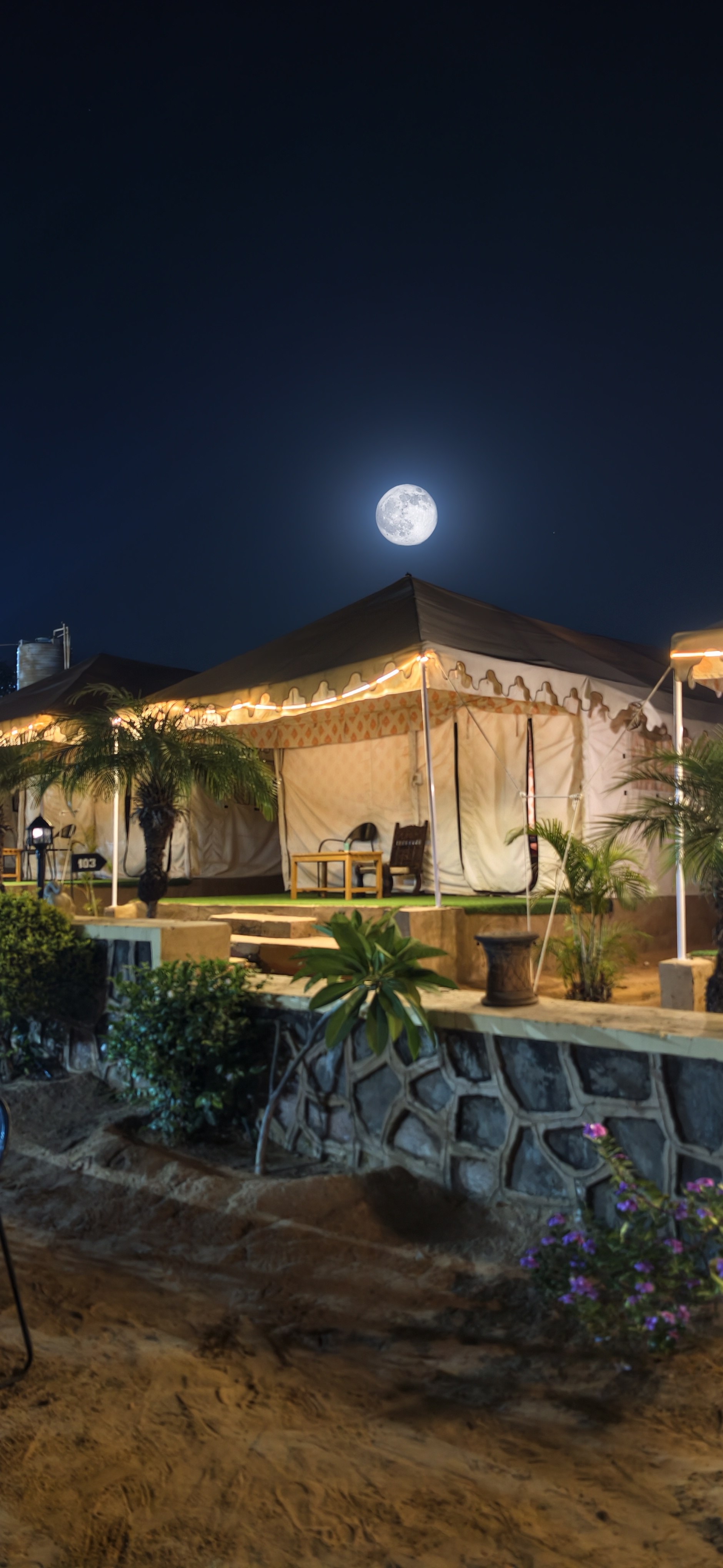 Where desert nights come alive with lights, music, bonfire & Rajasthani charm. ✨