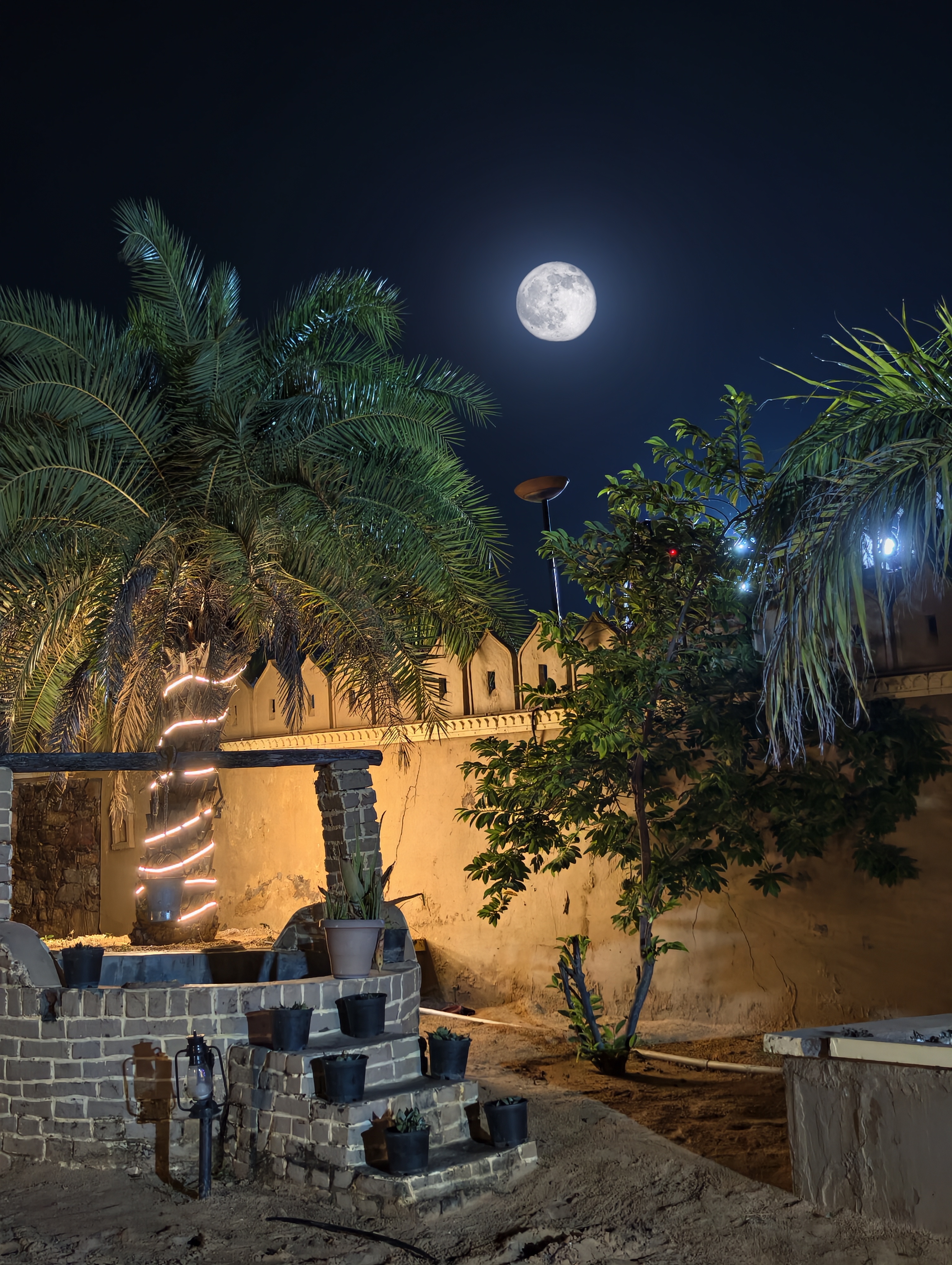 Where desert nights come alive with lights, music, bonfire & Rajasthani charm. ✨
