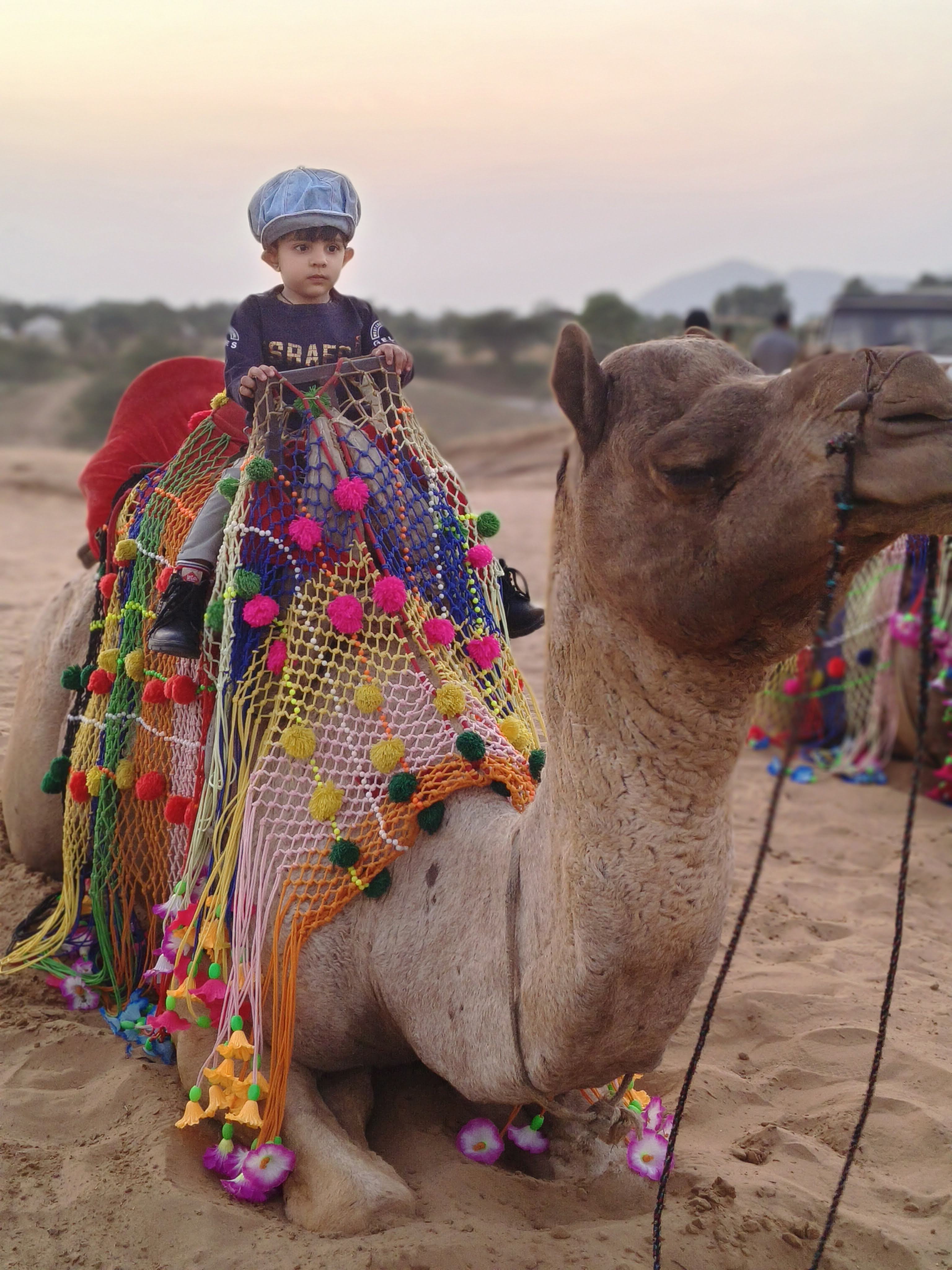 Ride through the golden dunes and experience the timeless charm of Rajasthan. 🐪✨