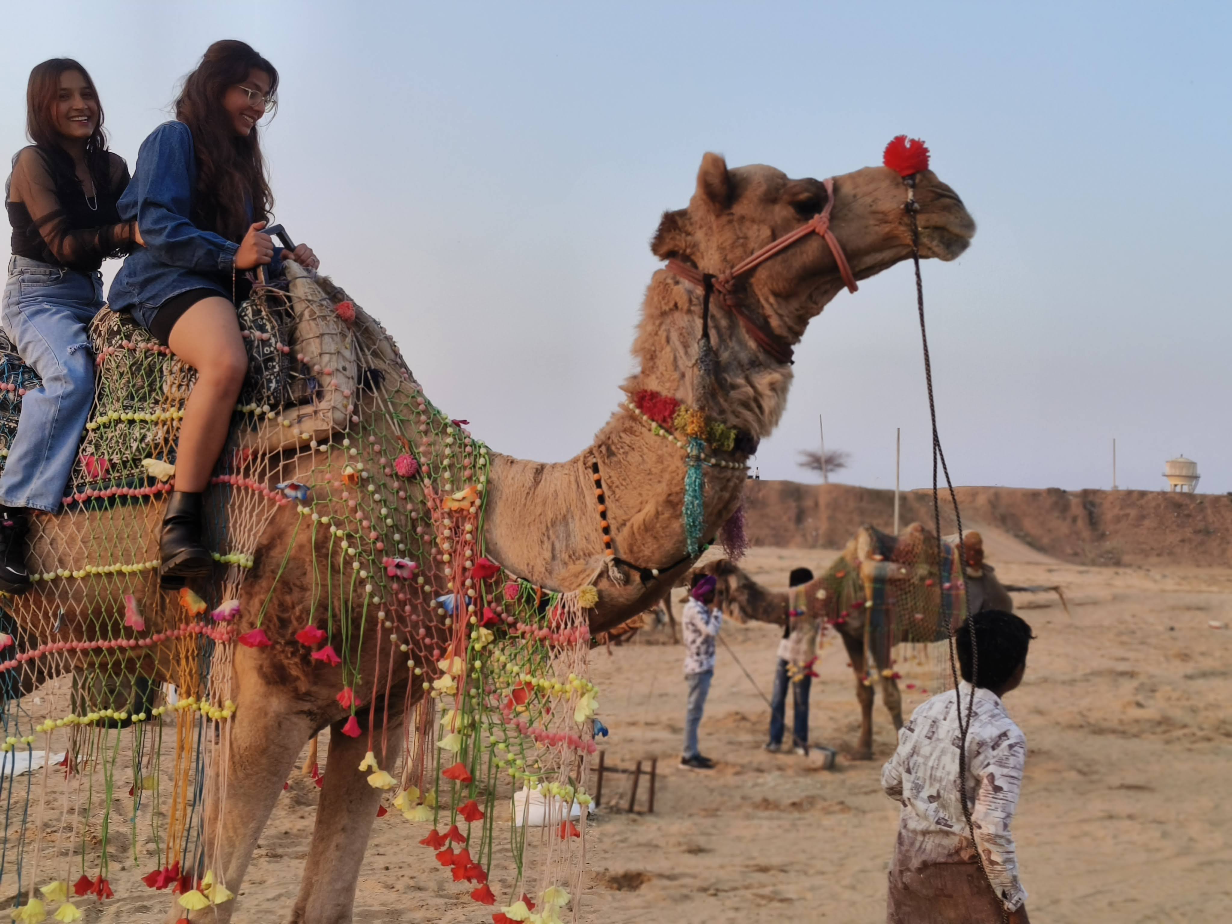 Ride through the golden dunes and experience the timeless charm of Rajasthan. 🐪✨