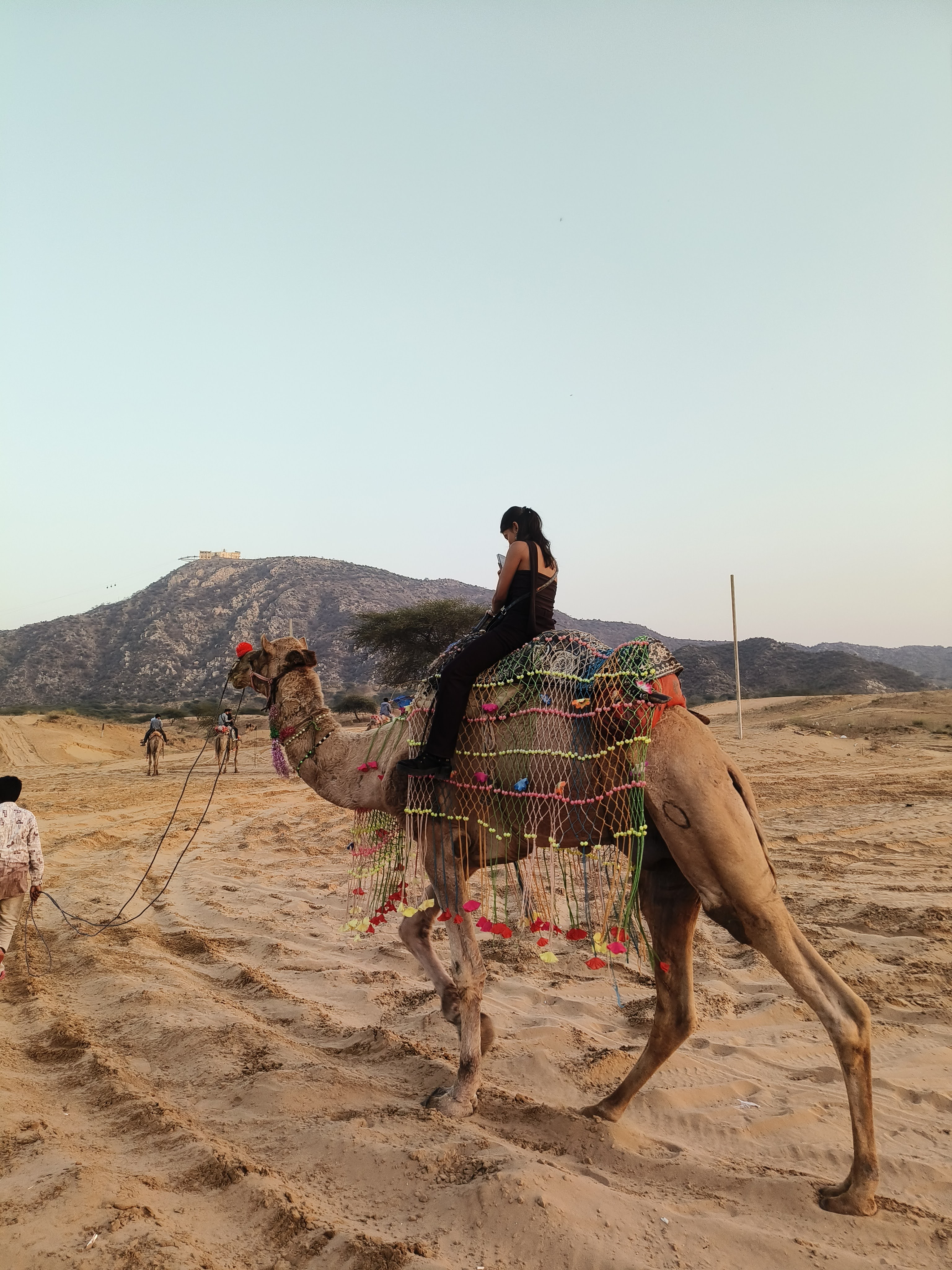 Ride through the golden dunes and experience the timeless charm of Rajasthan. 🐪✨