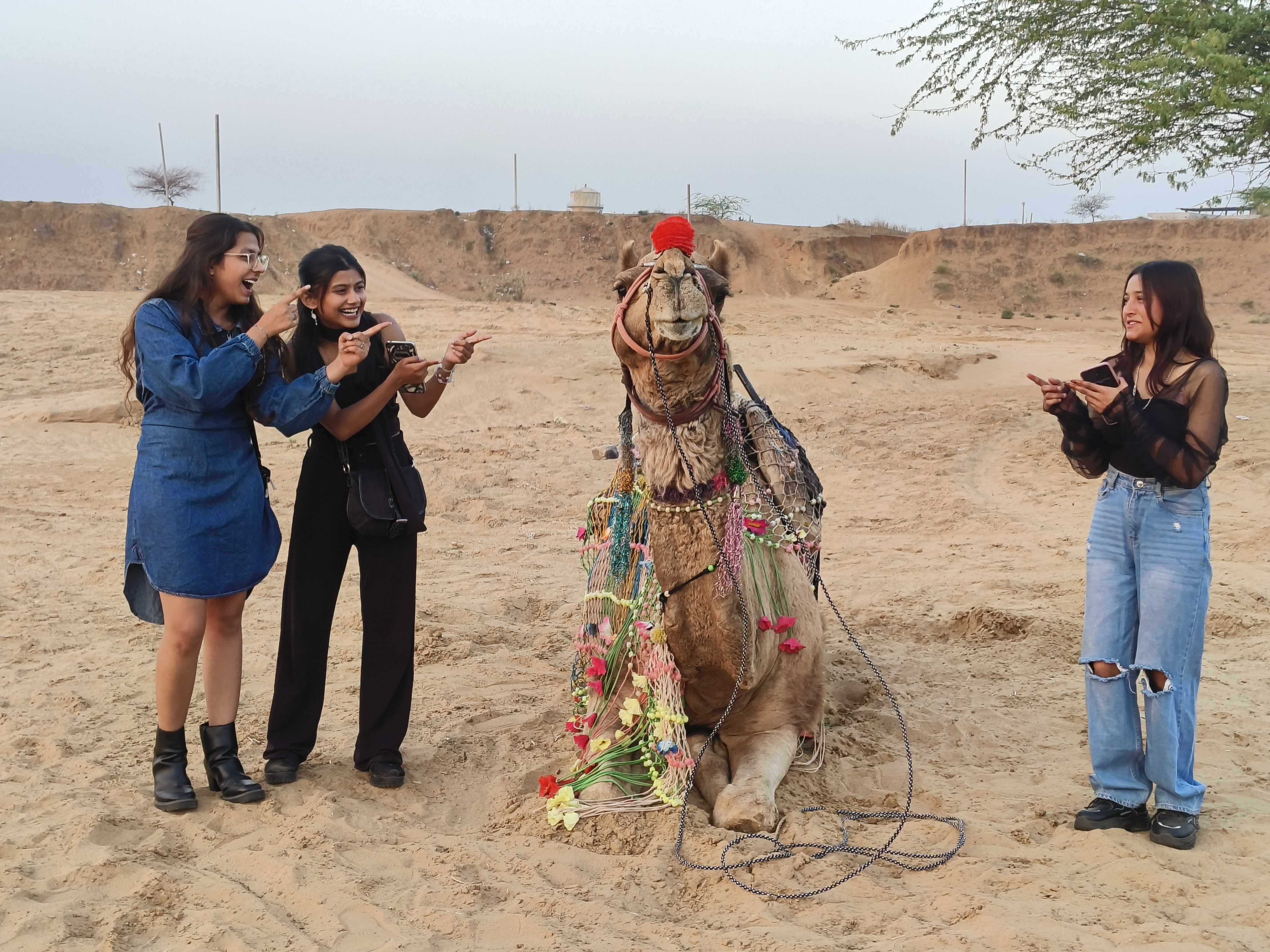 Ride through the golden dunes and experience the timeless charm of Rajasthan. 🐪✨