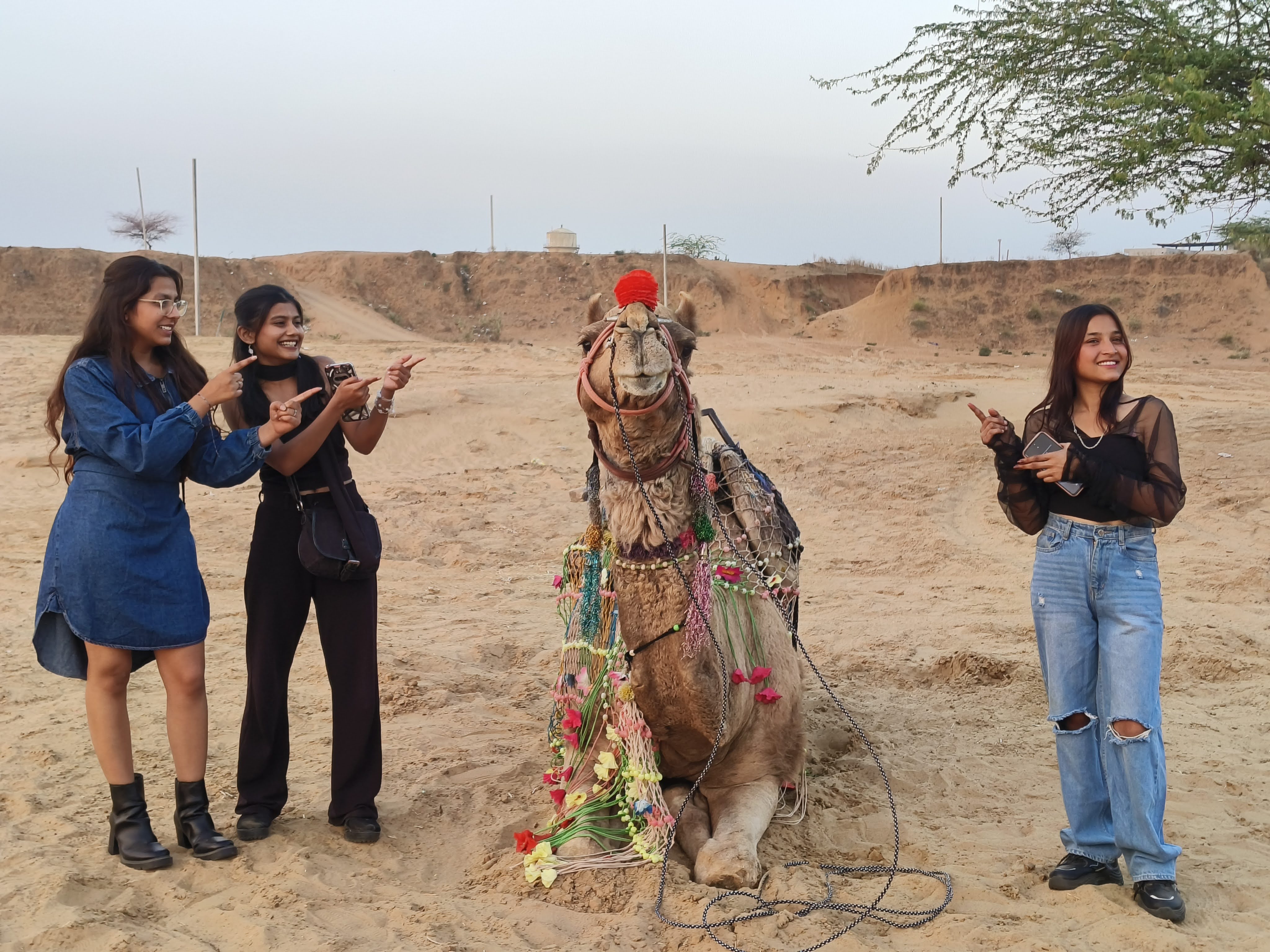 Ride through the golden dunes and experience the timeless charm of Rajasthan. 🐪✨