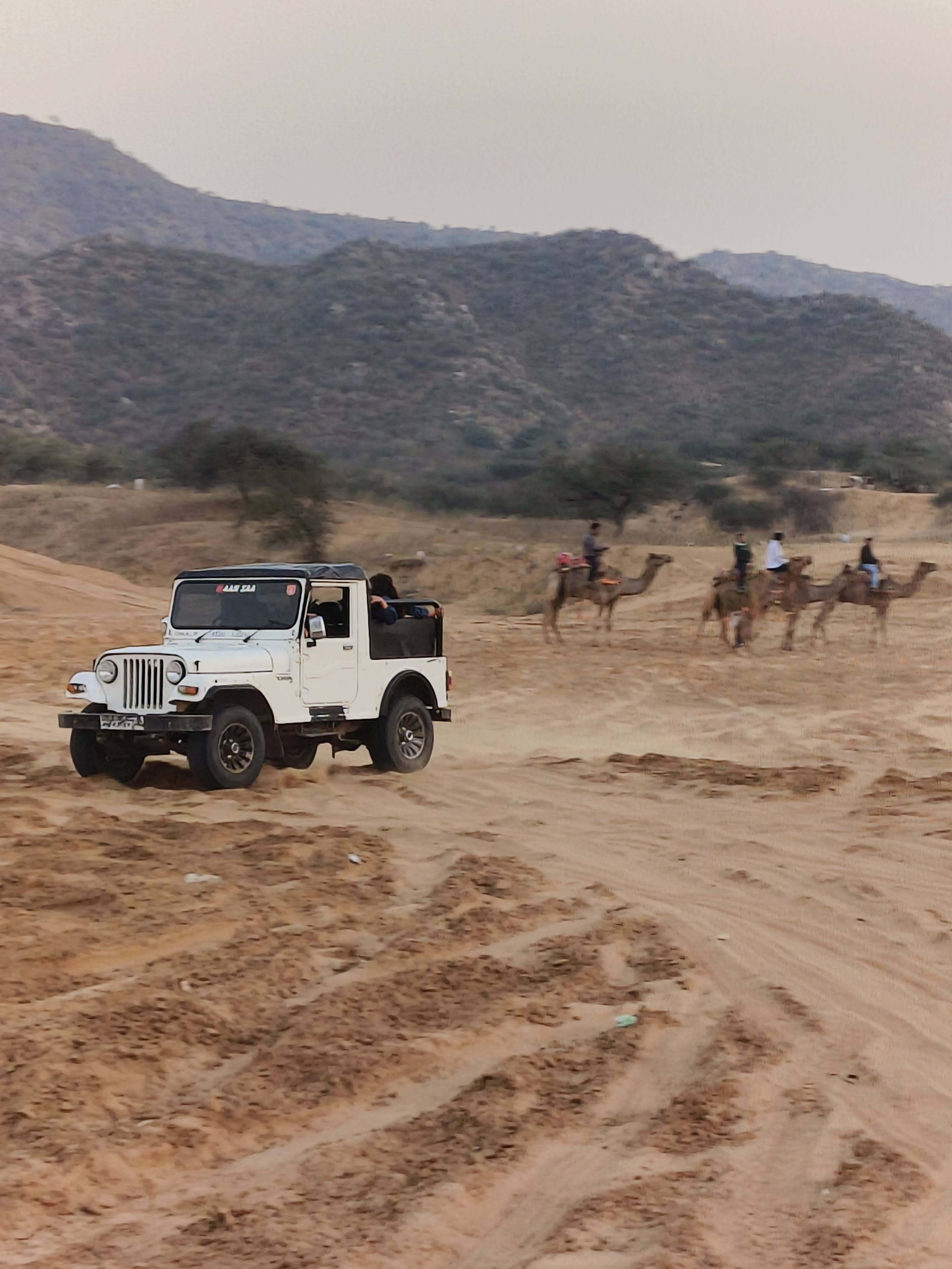 Jeep Safari